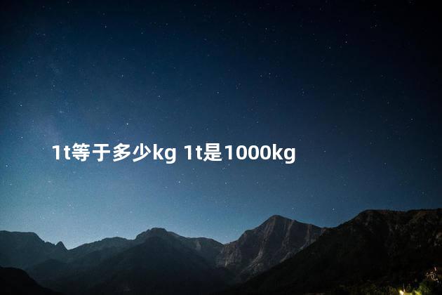 1t等于多少kg 1t是1000kg吗